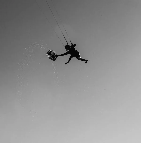HALO HARNESS - טרפז מנרה